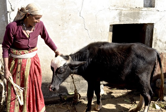 Kumaoni lady at her home